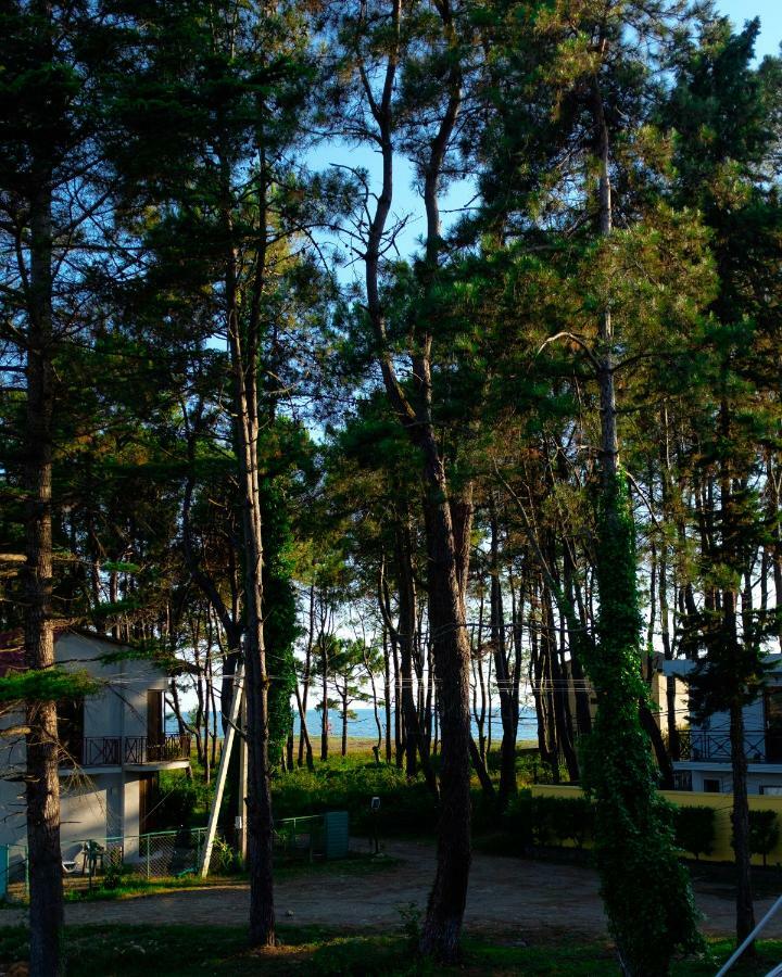 Restcoast Villa 셰크베틸리 외부 사진